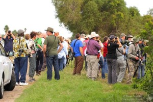 A small part of the crowd that was looking for the kingfisher.