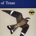 A Field Guide to the Birds of Texas: and Adjacent States (Peterson Field Guides)