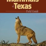 Mammals of Texas Field Guide