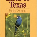Birds of Texas Field Guide