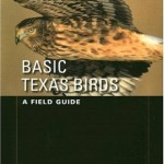Basic Texas Birds: A Field Guide (Texas Natural History Guides(TM))
