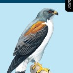 Birds of Texas: A Falcon Field Guide [tm] (Falcon Field Guide Series)