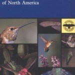 A Field Guide to Hummingbirds of North America (Peterson Field Guides)