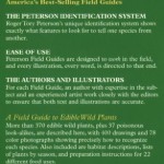 A Field Guide to Edible Wild Plants: Eastern and central North America (Peterson Field Guides) - Image 2