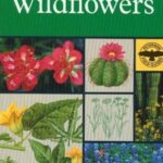 A Field Guide to Southwestern and Texas Wildflowers (Peterson Field Guides)