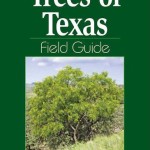Trees of Texas Field Guide