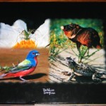 Creatures on the Edge: Wildlife Along the Lower Rio Grande - Image 2